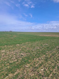Działki budowlane o powierzchniach od 960m2 do 1001m2,Kalisz - 2