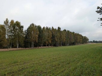 Działka rolna o powierzchni 2581m2, Strzałków, gm. Lisków - 2