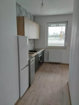Mam do wynajęcia 2 pokojowe z garażem - 2