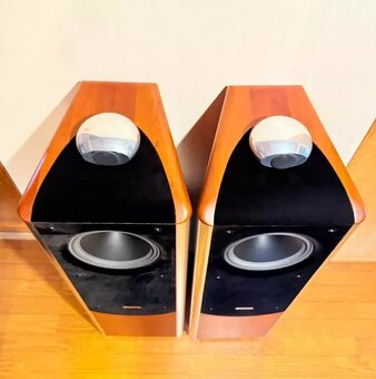 TANNOY Dimension 10 ( Price : 1400 EUR ) - 2