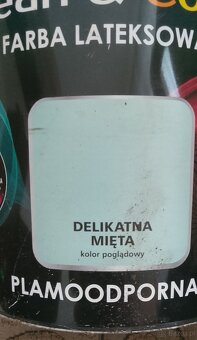 Farba Dekoral Delikatna Mieta - 2