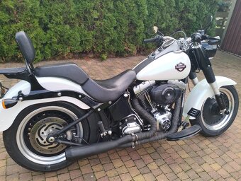 FAT Bob - 2