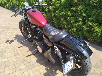 Sportster IRON  Harley Davidson - 2