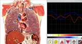 Biorezonans Hunter GR, Vector, Metapathia + Prezent Quantum - 2