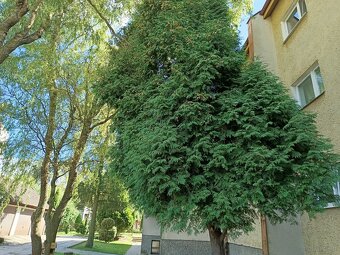 Mieszkanie sprzedam - 2