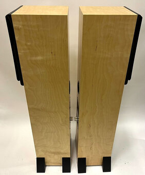 Neat Acoustics Orkestra ( Price: 2000 EUR ) - 2