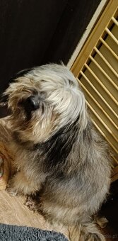 Siostry szukają domu. - 2