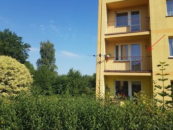 Bezczynszowe w ŻYWCU szuka nowego właściciela - na wypady - 2