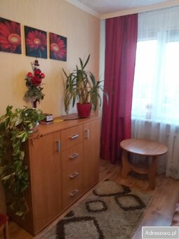3 pokoje, 62.50m2, balkon, winda, do remontu, Os.Dobrzec - 2