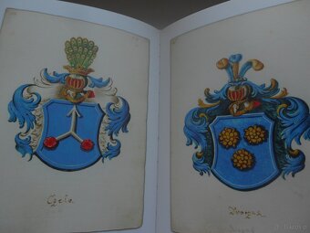 genealog.-heraldyczne ... szlachta ciesynska ... - 2