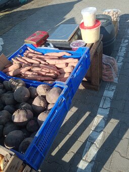 Sprzedam ziemniaki sadzeniaki - 2