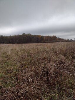 Sprzedaz dzialki - 2