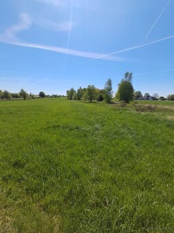 Działka budowlana o powierzchni 2800m2, Borek - 2