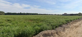 Działki budowlane w Chotowie - 2