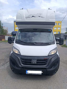 FIAT DUCATO MAXI 250 - 2