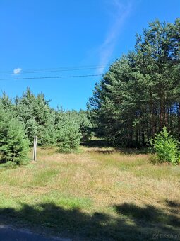 Działka budowlana o powierzchni 1686 m2, Prażuchy Nowe - 2