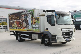 DAF LF 260 FA, EURO 6, HYDRAULICZNY PRZÓD, 80% OPON - 2
