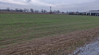 Działka budowlana 1200 m2, Wojciechówka - 2