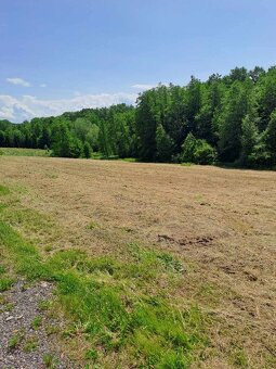 NA SPRZEDAŻ – DZIAŁKA BUDOWLANA – GRABÓWKI (MAŁOPOLSKA, GM. - 2