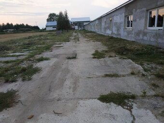 Syndyk sprzeda zorganizowaną część przedsiębiorstwa - 2