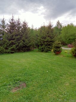 Sprzedam dzialke obok Polanicy-Zdroju-Sudety - 2