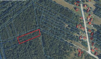 Sprzedam działkę – LAS, 0,31 ha, Kolonia Szczerbacka, woj. m - 2