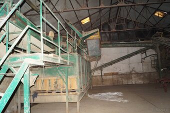 Linia do sortowania ziemniaków cebuli 25t/h sprzedam na elem - 2