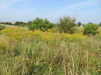 Syndyk sprzeda nieruchomość - 2