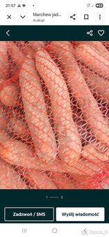 Warzywa i owoce wszystko - 2