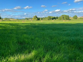 Sprzedam  cztery działki w Idzbarku z linią brzegową rzeki - 2