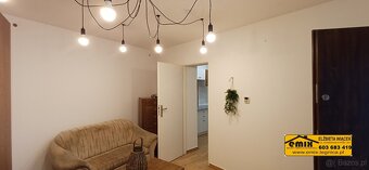 Lokal - dwa mieszkania, parter, po remoncie, wyposażone - 2