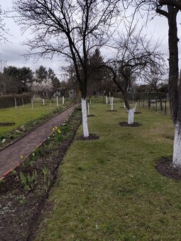 Dzialke ROD do odstapie Wroclaw - 2