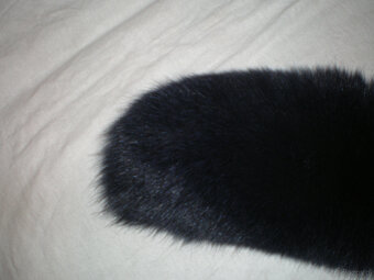 Sprzedam kołnierz koloru granatowego, długość 74 cm. - 2