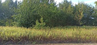 BEZPOŚREDNIO- Sprzedam Działkę 1500 m2 Majdan Wiązowna k/ Wa - 2
