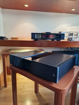 NAIM NAP 350 PAIR ( Price : 5000 EUR ) - 2