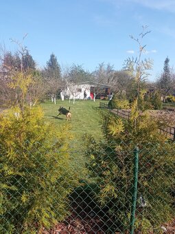 Sprzedam prawo do użytkowania działki ROD - 2