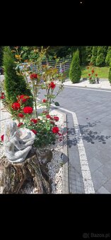 Wynajmę mieszkanie - 2