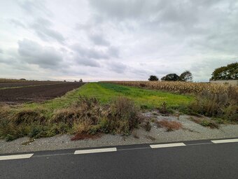 Działki rolne o powierzchni 3773m² i 3925m², Małgów - 2