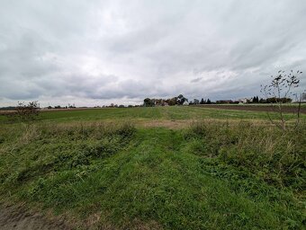 Działka rolna o powierzchni 4293m², Strzałków, gm. Lisków - 2