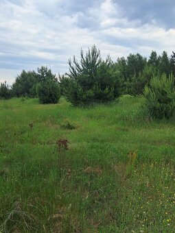 Działki budowlane w Planie ogólnym, 1040m2, Młynisko, gm. Ko - 2