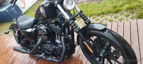 Harley-Davidson Sportster xl 1200 - 2
