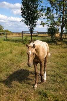 Qh - 2