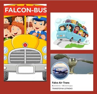 Przewóz osób Polska Niemcy i lotniska - 2