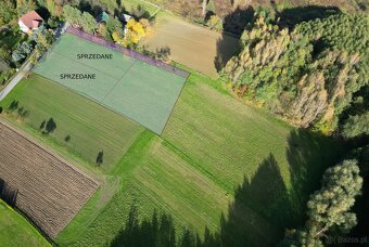 Piękna Działka w Dębnie 1529m2 - 2