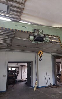Wózek suwnicowy Balkancar 500 kg - 2