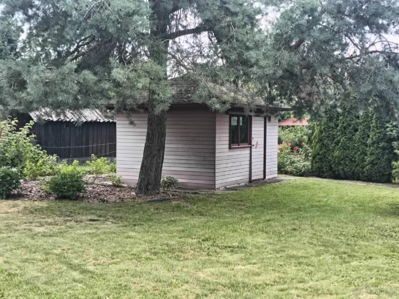 ROD "Słonecznik" Tarnów ul. Ostrogskich - 3