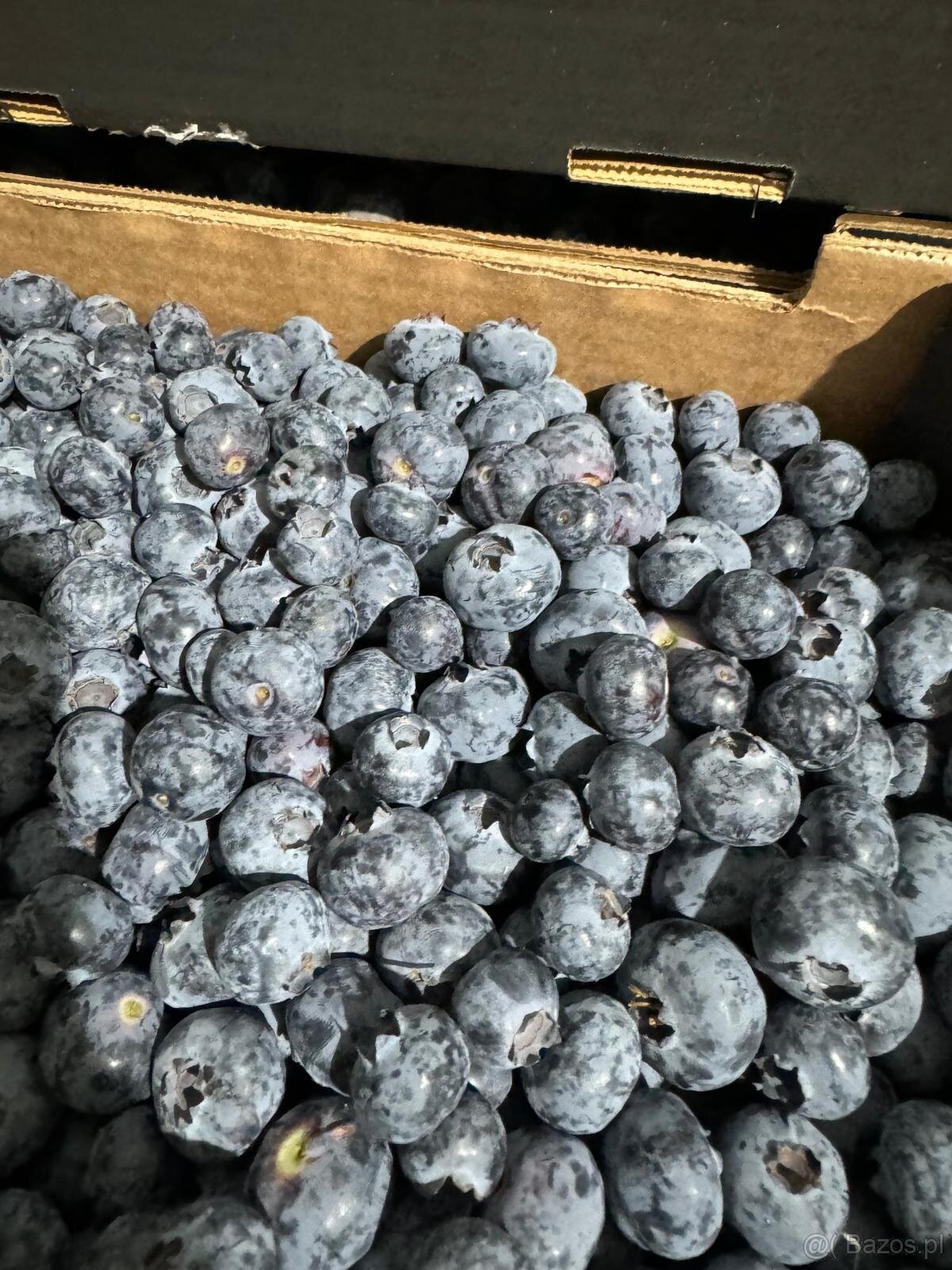 Import owoców i warzyw - 3