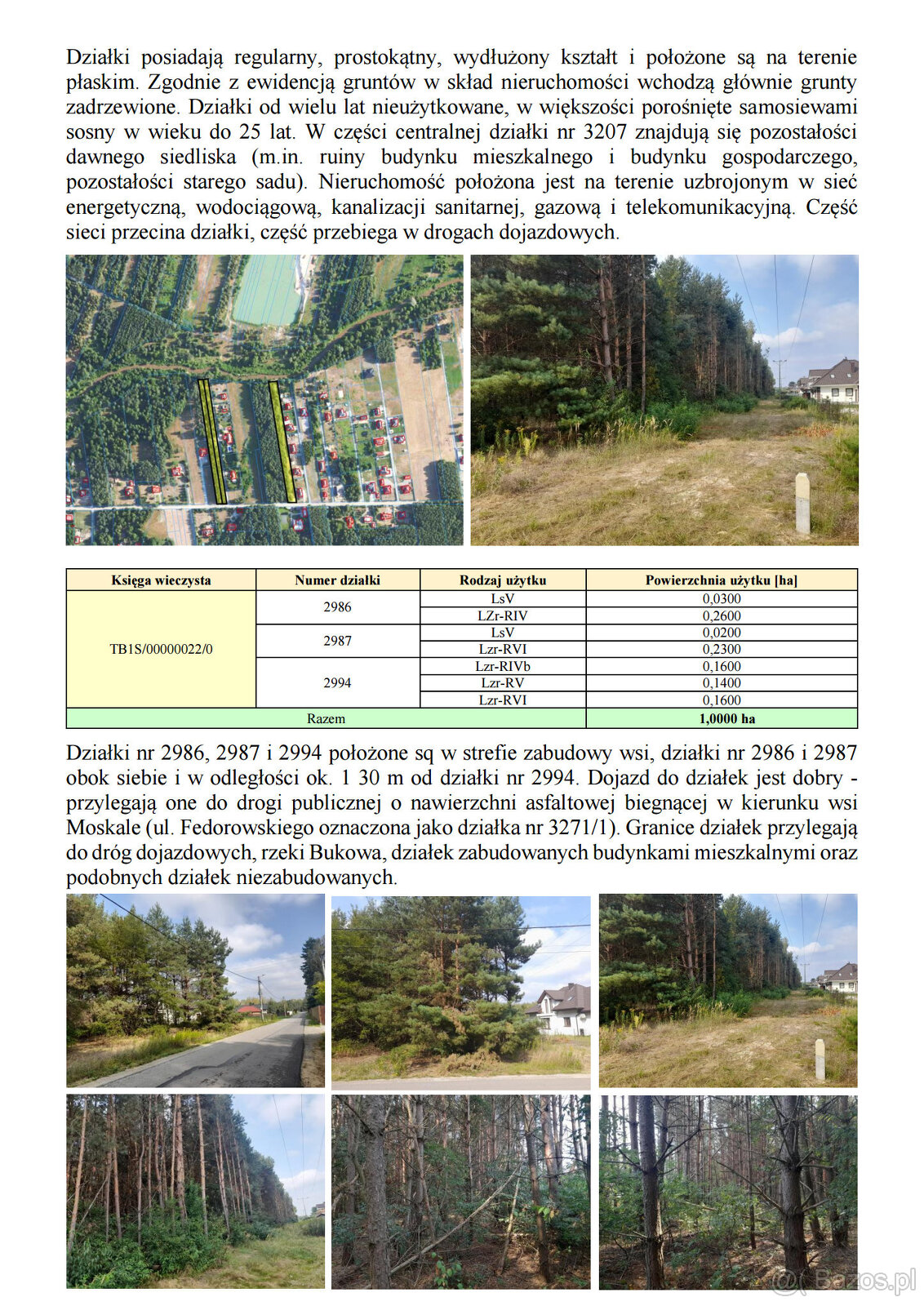 Syndyk sprzeda udziały w grunatach Jastkowice - Stalowa Wola - 3