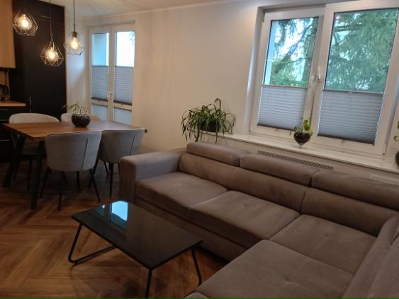 Sprzedam mieszkanie po generalnym remoncie - 3