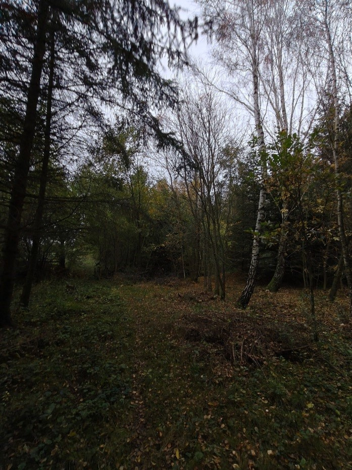 Niezabudowana działka w Kierzkowie, gmina Choczewo, woj. pom - 3